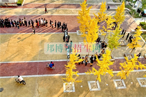 中央財經(jīng)大學(xué)網(wǎng)站網(wǎng)址