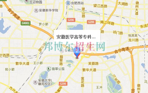 安徽醫(yī)學(xué)高等?？茖W(xué)校