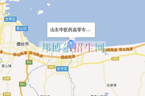 山東中醫(yī)藥高等?？茖W校