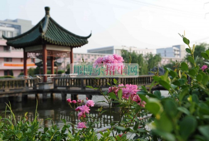 上海民遠職業(yè)技術(shù)學院學費