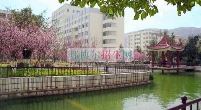 哪個大專學校軟件技術(shù)好