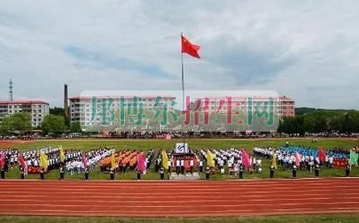 伊春職業(yè)學院網(wǎng)站網(wǎng)址