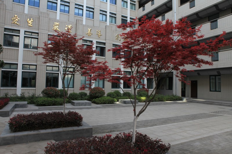 南京衛(wèi)生高等職業(yè)技術(shù)學校怎么樣、好不好