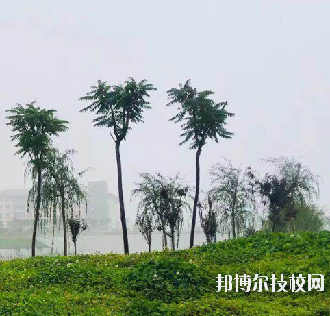 甘肅財貿(mào)職業(yè)學(xué)院2020年學(xué)費、收費多少