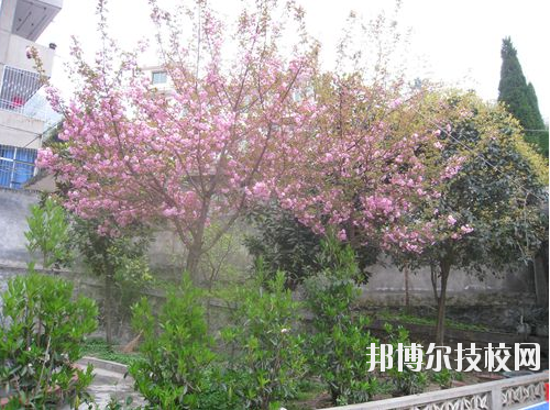 嵐皋縣中等職業(yè)技術(shù)學(xué)校2020年報名條件、招生要求、招生對象