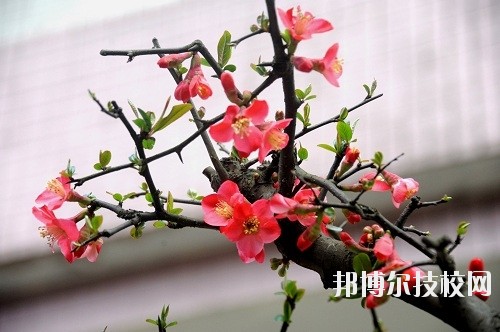 貴州廣播電影電視學(xué)校怎么樣、好不好