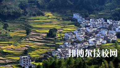 江西婺源茶葉學校2020年報名條件、招生要求、招生對象