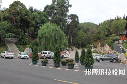 涼山州農(nóng)業(yè)學(xué)校2020年有哪些專(zhuān)業(yè)