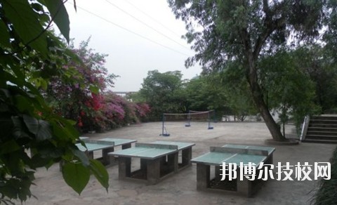 宜賓縣科普職業(yè)技術學校2020年招生簡章