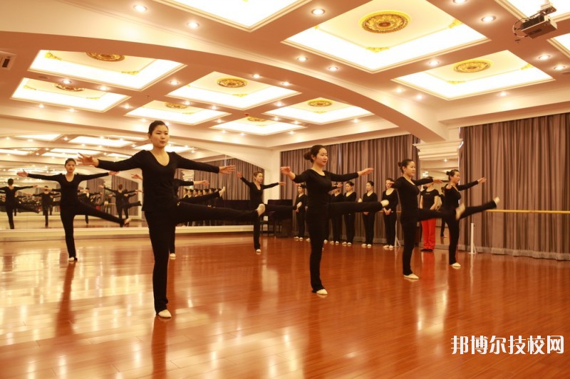 滄州職業(yè)技術(shù)學(xué)院2020年報(bào)名條件、招生要求、招生對(duì)象
