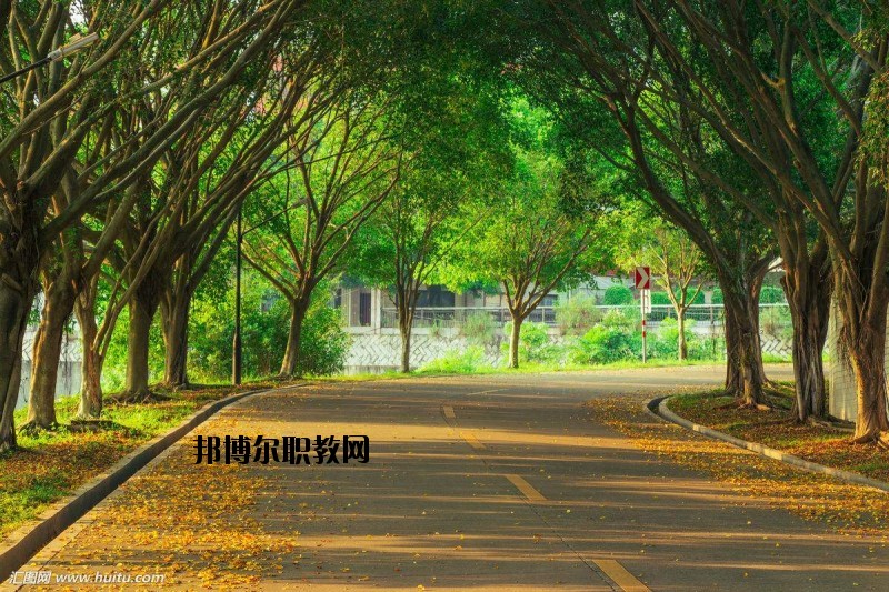 仙桃金園職業(yè)高級(jí)中學(xué)2020年報(bào)名條件、招生要求、招生對(duì)象
