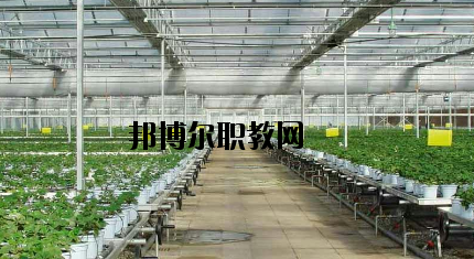 隴南農(nóng)業(yè)學(xué)校怎么樣、好不好