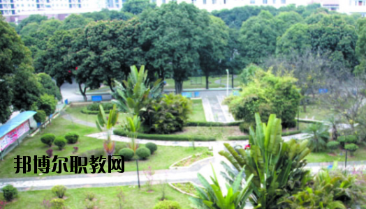 廣西百色農(nóng)業(yè)學校2020年報名條件、招生要求、招生對象 