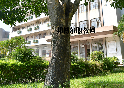 廣東高州農(nóng)業(yè)學(xué)校2020年招生辦聯(lián)系電話(huà)