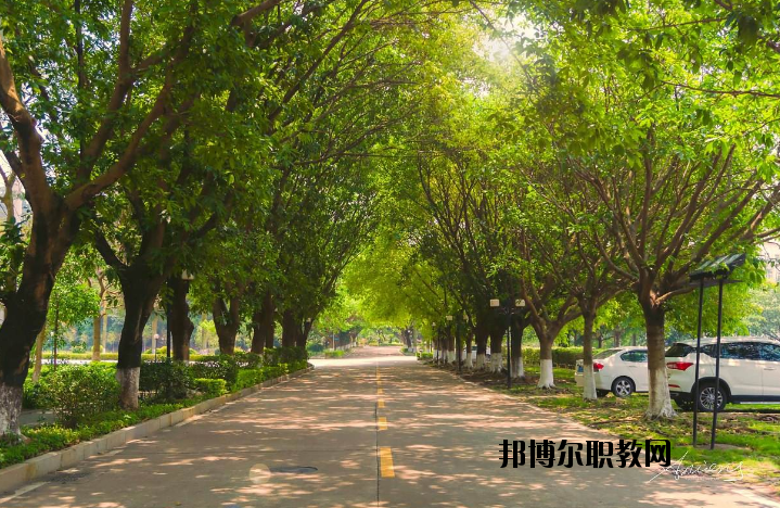 河南團(tuán)校2021年報名條件、招生要求、招生對象
