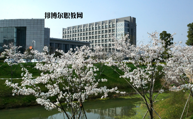 中國(guó)藥科大學(xué)2020年報(bào)名條件、招生要求、招生對(duì)象