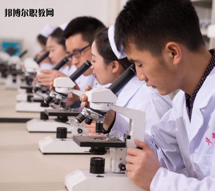 焦作護(hù)理學(xué)校怎么樣、好不好