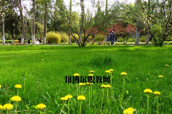 雙江縣職教中心2020年報(bào)名條件、招生要求、招生對(duì)象