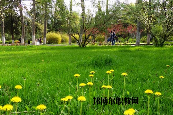 雙江縣職教中心怎么樣、好不好