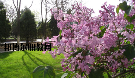 金川公司技工學(xué)校2020年報(bào)名條件、招生要求、招生對(duì)象