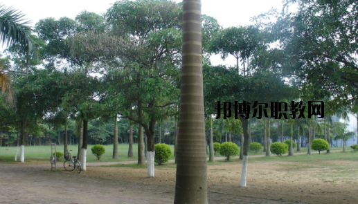 合浦石康職業(yè)技術(shù)學(xué)校怎么樣、好不好