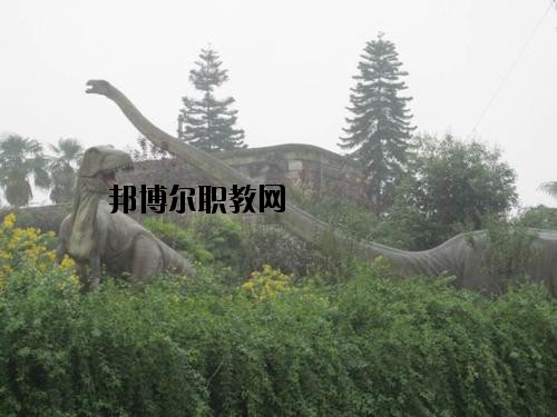 自貢三星職業(yè)技術(shù)學(xué)校2020年報(bào)名條件、招生要求、招生對(duì)象