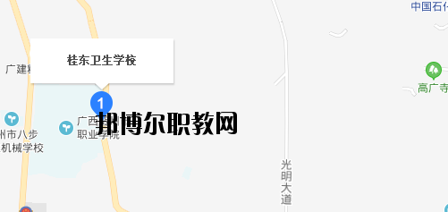 桂東衛(wèi)生學校地址在哪里