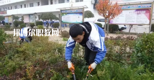 秦安縣古城農(nóng)業(yè)中學怎么樣、好不好