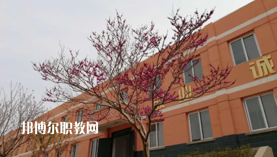 成縣化埡農(nóng)職業(yè)中學(xué)怎么樣、好不好