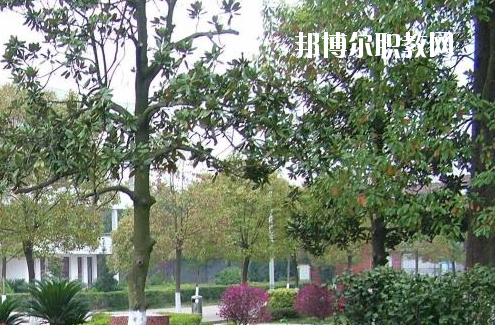武漢媧石技術(shù)學校