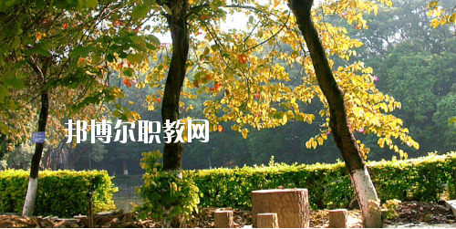 廣西民族中等專業(yè)學(xué)校怎么樣、好不好