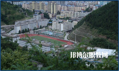 廣元朝天職業(yè)中學(xué)2020年報(bào)名條件、招生要求、招生對(duì)象