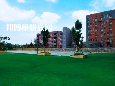 榮縣金科職業(yè)技術(shù)學(xué)校2021年招生錄取分?jǐn)?shù)線(xiàn)