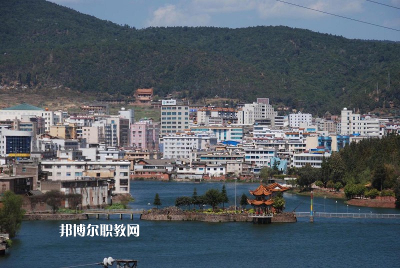 牟定縣職業(yè)高級(jí)中學(xué)2021年招生簡章