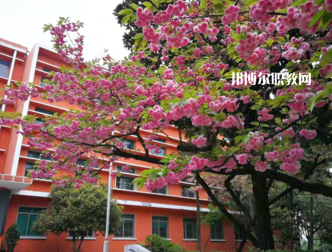貴州特殊教育中等職業(yè)技術(shù)學校2022年學費、收費多少
