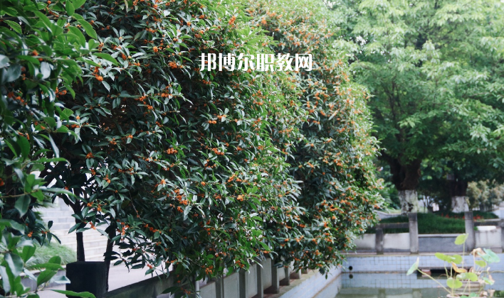 德陽通用電子科技學校怎么樣、好不好