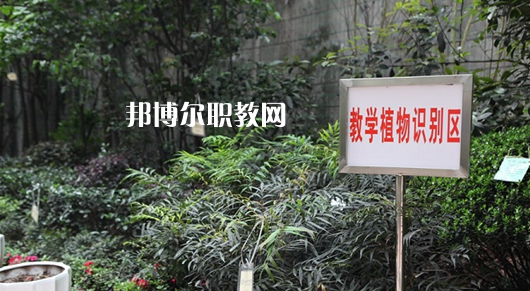 重慶風(fēng)景園林技工學(xué)校2022年學(xué)費(fèi)、收費(fèi)多少