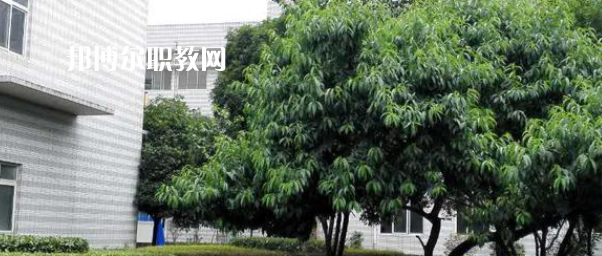 成都市中山職業(yè)技術(shù)學(xué)校2022年報名條件、招生要求、招生對象