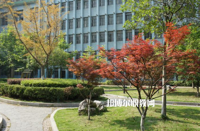 廉江市衛(wèi)生職業(yè)技術(shù)學(xué)校怎么樣、好不好