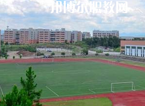 景洪職業(yè)高級(jí)中學(xué)2022年學(xué)費(fèi)、收費(fèi)多少