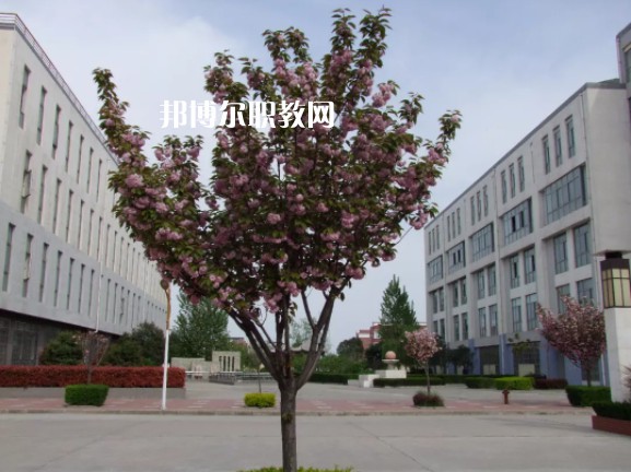 陳倉區(qū)職業(yè)教育中心2022年報名條件、招生要求、招生對象
