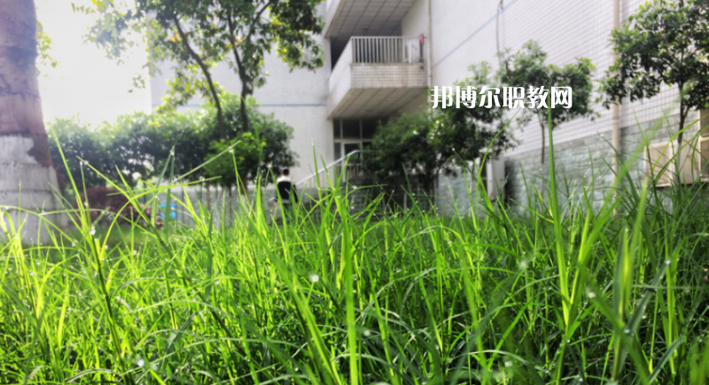 樂山計(jì)算機(jī)學(xué)校2022年學(xué)費(fèi)、收費(fèi)多少
