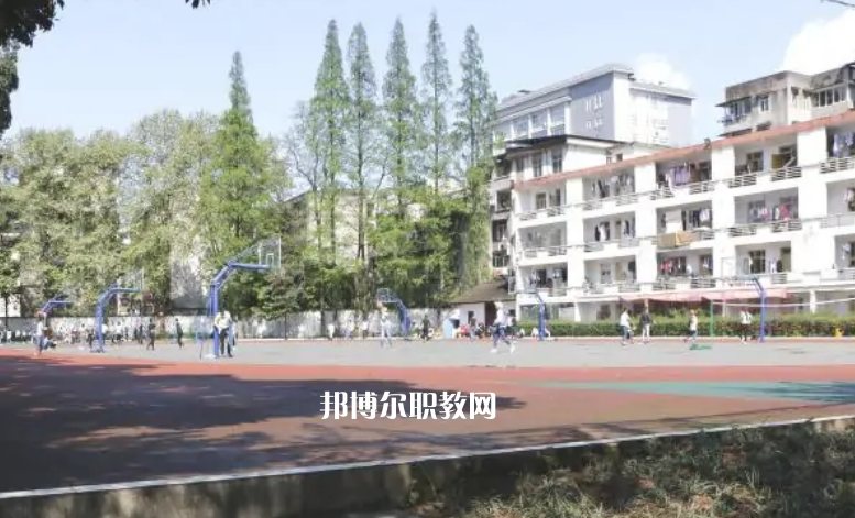 鹽津縣職業(yè)高級中學2022年招生錄取分數(shù)線