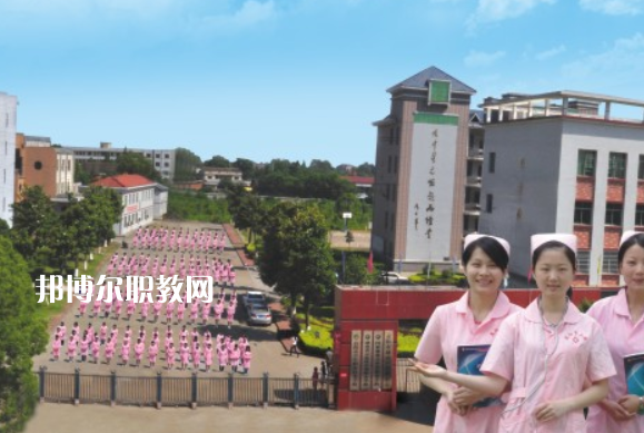 益陽市衛(wèi)生職業(yè)技術學校