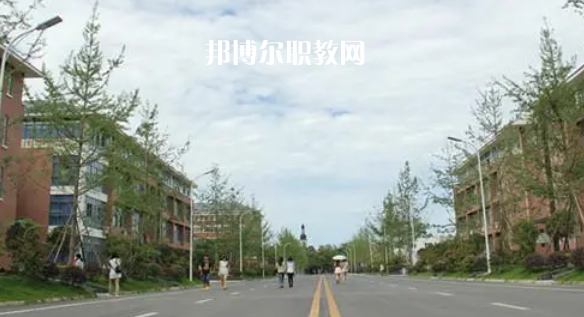 成都高職?？圃盒Ｅ琶?8強