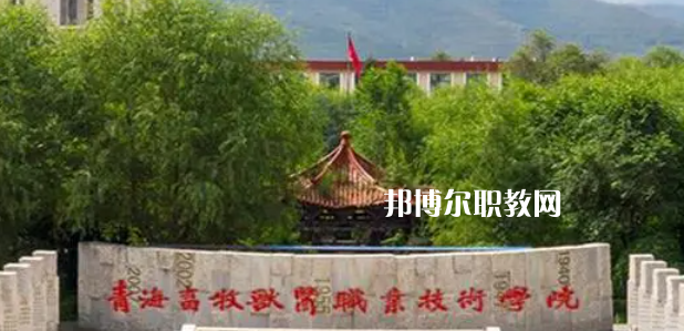 青海高職?？拼髮W(xué)2023年排名(文科)