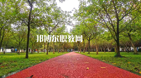 2023年四川國(guó)盛技工學(xué)校醫(yī)護(hù)救援部學(xué)費(fèi)、收費(fèi)多少