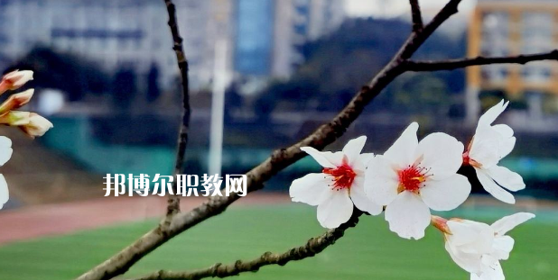 2023眉山技師學(xué)院招生計(jì)劃 招生人數(shù)是多少(附要求、條件、對象)