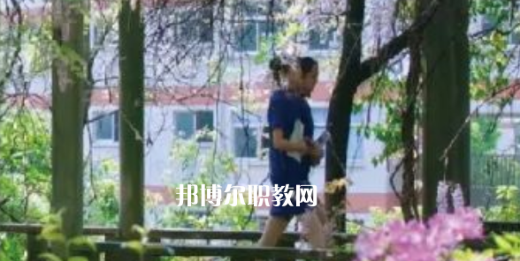 2023金華市成功學校招生計劃 招生人數是多少(附要求、條件、對象)