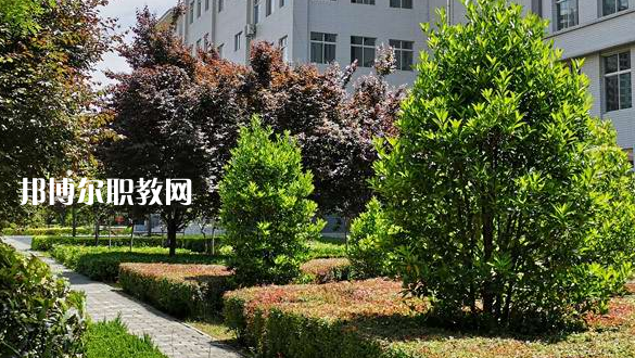 2023渭南技師學(xué)院招生計(jì)劃 招生人數(shù)是多少(附要求、條件、對(duì)象)